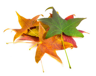 Similar image 11930996