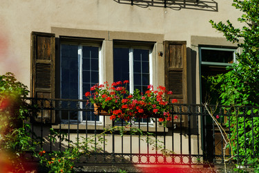 Similar image 11930108