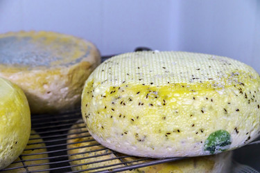 Similar image 11930118