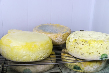 Similar image 11930125