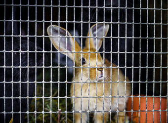 Similar image 11930130