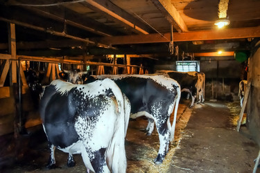 Similar image 11930131