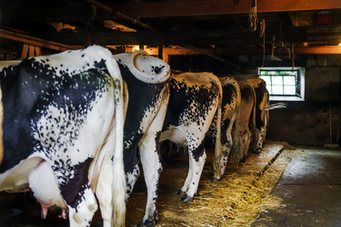 Similar image 11930134