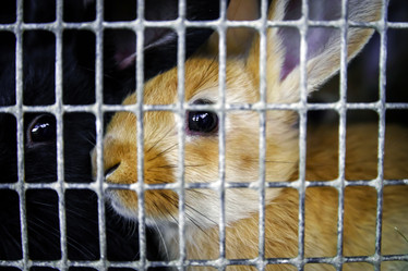 Similar image 11930137