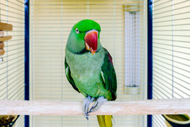 Similar image 11930238