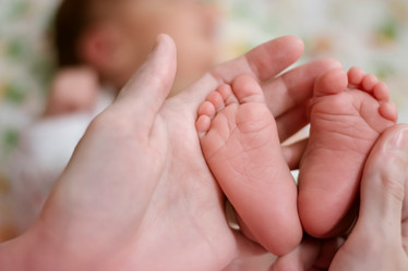 Similar image 11929727