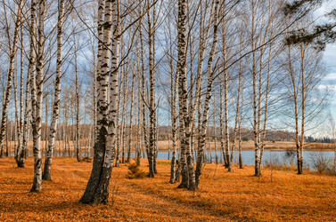 Similar image 11931464