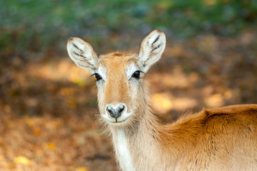 Similar image 11934706