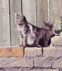 Similar image 11932668