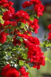 Similar image 11933907