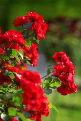 Similar image 11933908