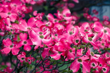 Similar image 11932080