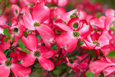 Similar image 11932082