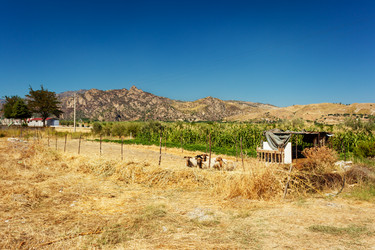 Similar image 11932090