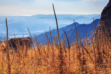 Similar image 11932092