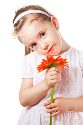 Similar image 11932100