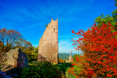 Similar image 11930253