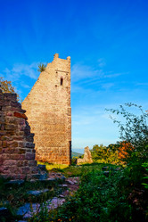 Similar image 11930254