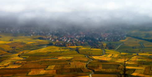 Similar image 11930274