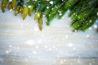 Similar image 11932643