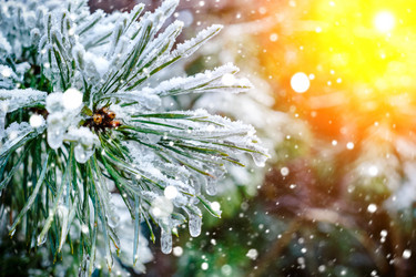 Similar image 11932644