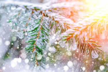 Similar image 11932648