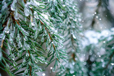 Similar image 11932650