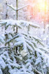 Similar image 11932651