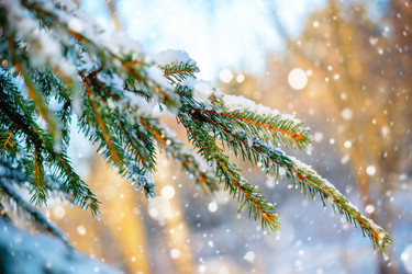 Similar image 11932652