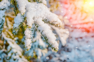 Similar image 11932654