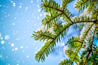 Similar image 11932655