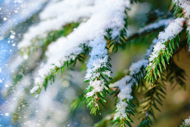 Similar image 11932656