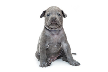 Similar image 11954527