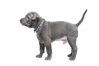 Similar image 11954550