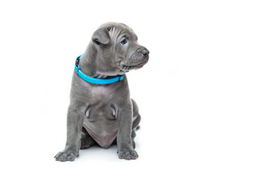 Similar image 11954580