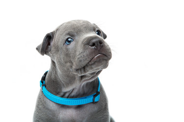 Similar image 11954610