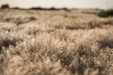 Similar image 11931538