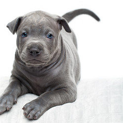 Similar image 11954628