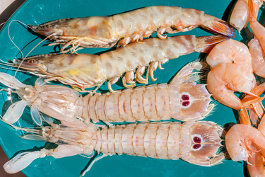 Similar image 11935408