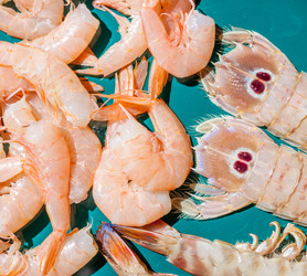 Similar image 11935409