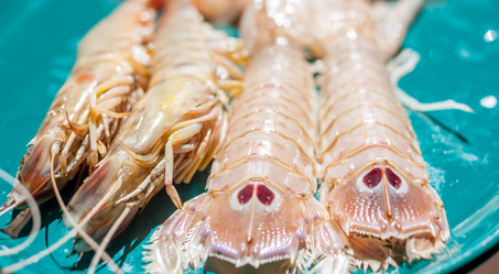 Similar image 11935410