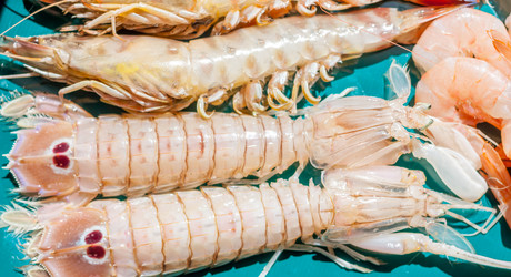 Similar image 11935411