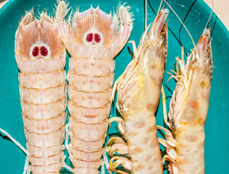 Similar image 11935412