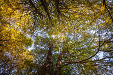 Similar image 11931586