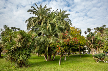 Similar image 11931597