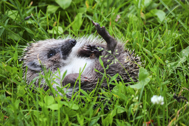 Similar image 11932690