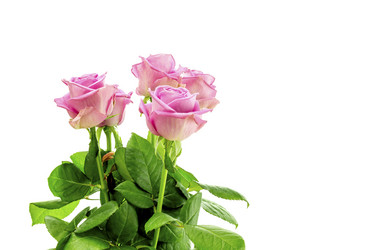 Similar image 11930937