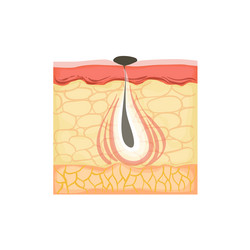 Similar image 11937900