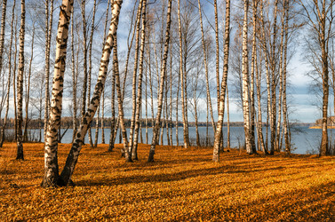 Similar image 11932678