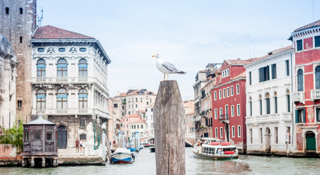 Similar image 11934712